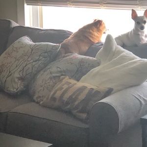 Meet your Posher, Lisa